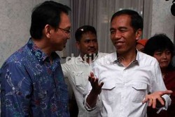 Gerindra DKI: Jokowi Terbang Tinggi karena Ahok Kerja Bagus