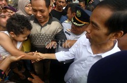 PDIP: Pendamping Jokowi Sudah Berumur Tak Masalah yang Penting Sehat