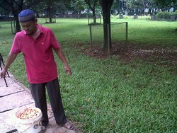 Siulan Ajaib Pak Sugito Pemanggil Rusa Monas