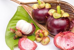 Mengkudu dan Kulit Manggis Potensial untuk Imunoterapi Kanker