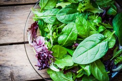 Mana yang Lebih Kaya Kandungan Zat Besi, Bayam Hijau atau Bayam Merah?