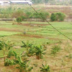 Lahan Nganggur BUMN Banyak Dikuasai Mafia Tanah