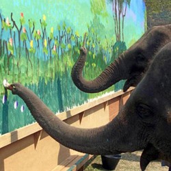 Catat! Lima Hewan Ini Bisa Melukis (1)