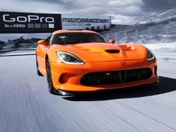 Nasib Ular Amerika Jadi Tidak Jelas