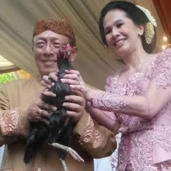 Lepas Ayam Betina Tanda Orangtua Ikhlas Menikahkan Alyssa dengan Dude