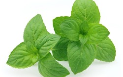 Daun Mint Ampuh untuk Basmi Komedo dan Atasi Jerawat