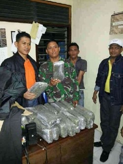 Polisi Amankan 20 Bungkus Ganja Kering Saat Razia Senpi di Pidie