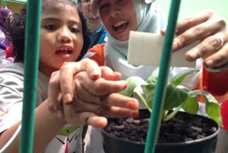 Lewat Berkebun, Anak-anak SLB Petamburan Belajar Tanggung Jawab