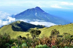 Merbabu, Gunung yang Selalu Membuat Rindu