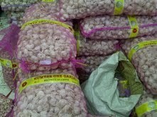 Ini Bedanya Bawang Putih Produksi RI dengan Tiongkok