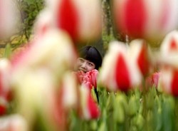 10 Negara yang Paling Bikin Turis Bahagia (1)