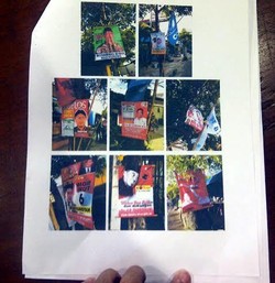 Aktivis Lingkungan Laporkan Caleg yang Pasang Baliho di Pohon ke Bawaslu