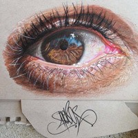 Lukisan Bola Mata Bak Karya Fotografi