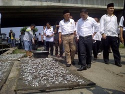 Anis Matta Janjikan Program Pemberantasan Korupsi ala PKS dalam 1 Tahun