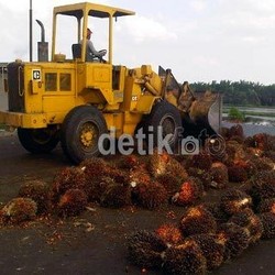 Isu Lingkungan Serang Sawit RI Sejak 1980