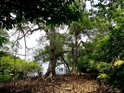 Siapa Sangka, Bali Juga Punya Kisah Ala Romeo & Juliet