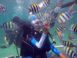 Karena Foto, Diving Jadi Lebih Diminati