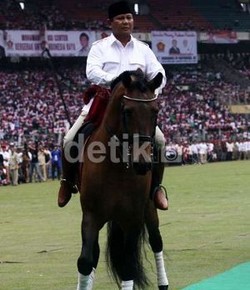 Kuda Milik Prabowo Juga untuk Latihan Atlet Nasional