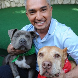 Cesar Millan Beri Pertunjukan Live 26 April di Jakarta