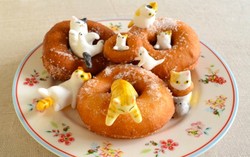 Kucing-kucing Lucu yang Bermain di Pancake dan Donat Ini Bisa Dimakan!