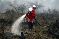 Kebakaran Lahan di Riau Masih Berlanjut, Muncul Titik Api Baru