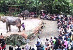 7 Tips Jalan-jalan ke Kebun Binatang