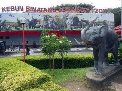 6 Kebun Binatang Favorit di Indonesia