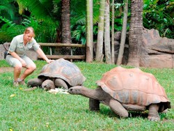 10 Kebun Binatang Terbaik di Dunia (1)