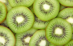 New Zealand Sedang Kembangkan Kiwi Berkulit Tipis dengan Sedikit Bulu