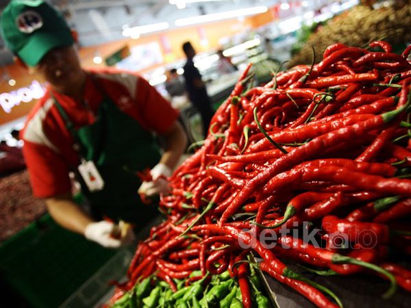 Harga Cabai Masih Mahal