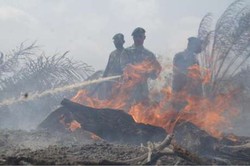 Waduh! Pagi Ini Jumlah Hotspot di Riau Meningkat dari 219 Jadi 777