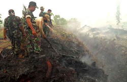 Tertangkap Basah, 3 Pembakar Lahan Coba Suap Satgas Rp 2 Juta