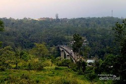 Jembatan Tukad Bangkung, Terpanjang di Bali