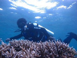 Indonesia Masih Butuh Banyak Promosi Soal Diving