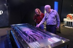 Cumi Raksasa Dipamerkan untuk Publik di Queensland