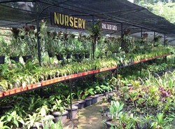 Weekend di Puncak, Coba Agrowista di Lahan Organik Agri Food