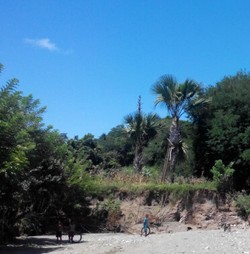 Jalur Tikus Jadi Faktor Sulitnya Amankan Perbatasan NTT-Timor Leste