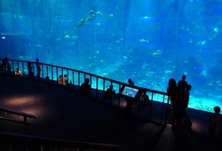 Catat! 5 Tempat Wajib Kunjung di Resorts World Sentosa