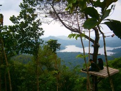 Wisata Alam Kalibiru di Barat Yogya, Sejuk!
