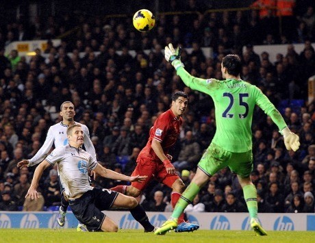 Yang Membumi dan Yang Sedang Terbang Tinggi