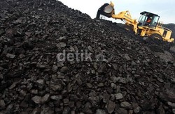 PTBA Sebar Dividen Tunai Rp 1 Triliun