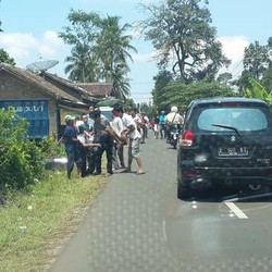 Hindari Senggolan dengan Truk, Pemotor ini Bablas Tabrak Pepohonan