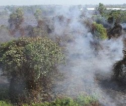 Padamkan Api di Riau, Chevron Habiskan 3 Juta Liter Air