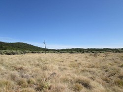 Suasana Ala Afrika di Gunung Pandayan