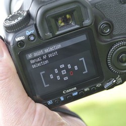 Autofocus Kok Tak Bisa Fokus?