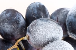 Dingin Renyah Anggur dan Pisang Beku, Camilan Sehat saat Cuaca Panas