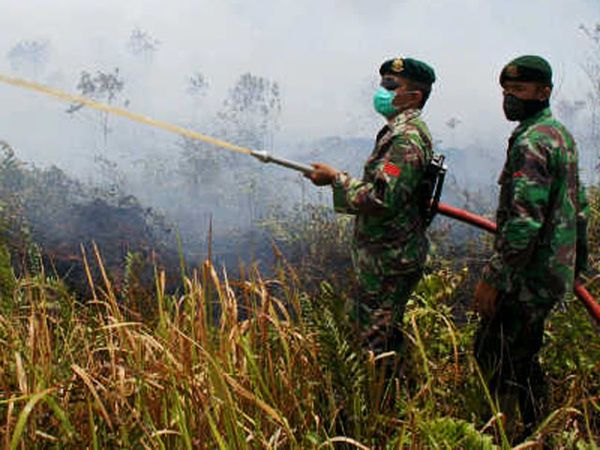 Kostrad Bantu Padamkan Kebakaran Hutan di Riau