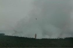 1.000 Anggota Satgas Ditarik, Cagar Biosfer di Riau Masih Membara