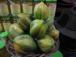 Carica, Buah Tangan Khas dari Dieng