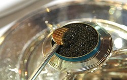 Politikus Italia Habiskan Rp. 31 Miliar untuk Caviar dan Wine!